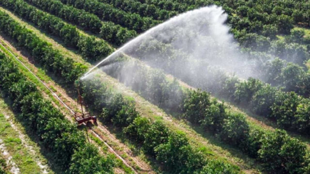 PIB da Agropecuária registra aumento de 17% em um ano, aponta IBGE 3 Agropecuária foi a único que apresentou leve retração no segundo trimestre de 2023.