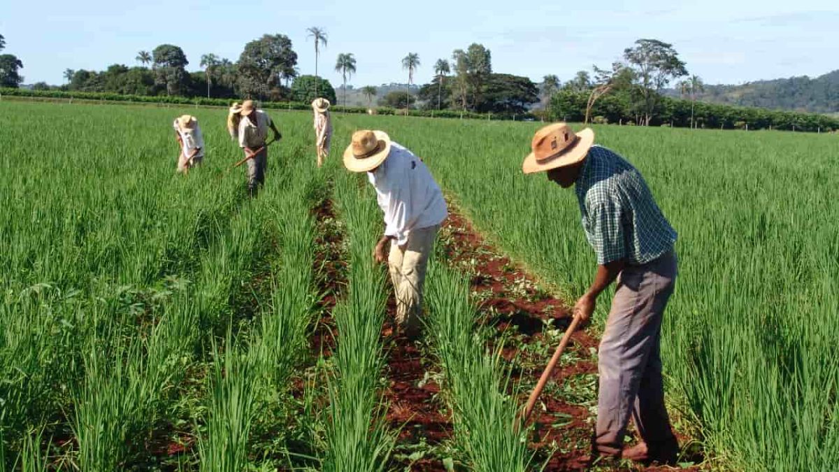 Curso ensina como acessar crédito fundiário para comprar imóveis rurais 2 Capacitação é para agricultores familiares e trabalhadores que queiram comprar imóvel rural para produção.