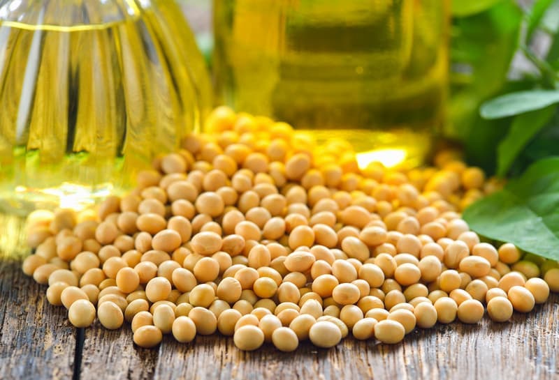Exportações do agronegócio batem recorde em agosto e atingem US$ 15,63 bilhões 3 colheita de trigo