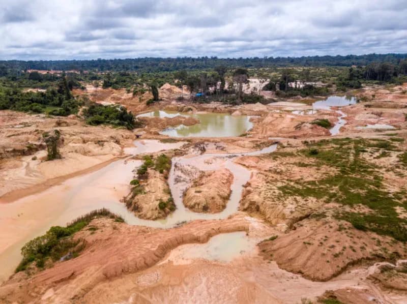 Área usada pelo garimpo ilegal na Amazônia aumenta em 35 mil hectares 2 garimpo ilegal