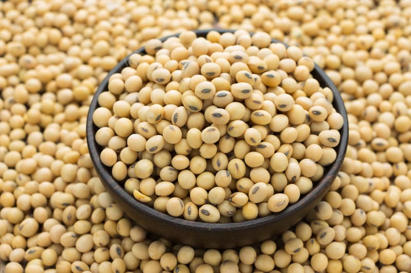 Exportações do agronegócio batem recorde em agosto e atingem US$ 15,63 bilhões 2 soja