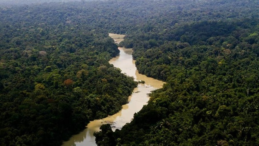 Amazônia vista de cima