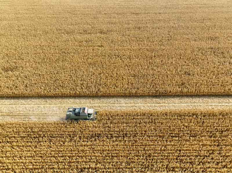 Agricultura