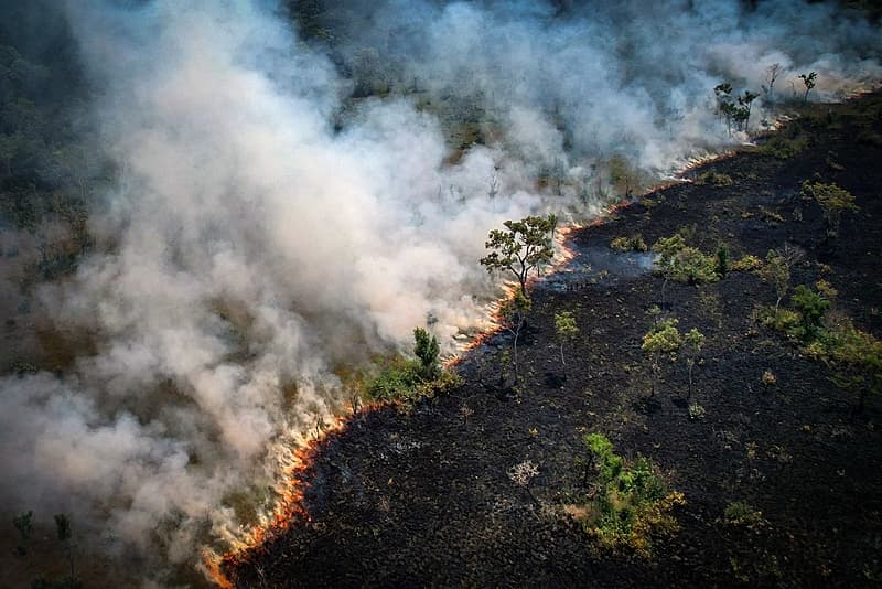 Amazonas registra 2º pior setembro com quase 7 mil focos de queimadas desde 1998 2 Incêndio