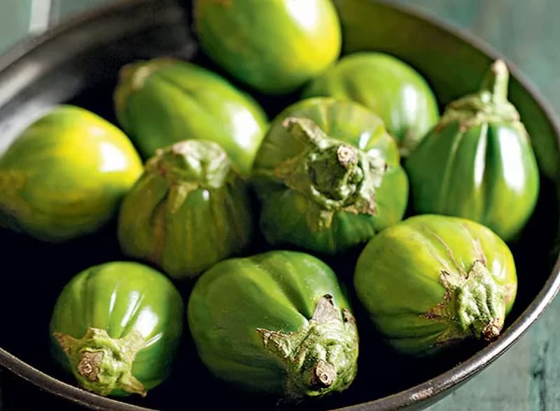 Saiba como plantar jiló em casa e os cuidados necessários com o cultivo 2 Como plantar jiló em casa e os cuidados necessários com o cultivo