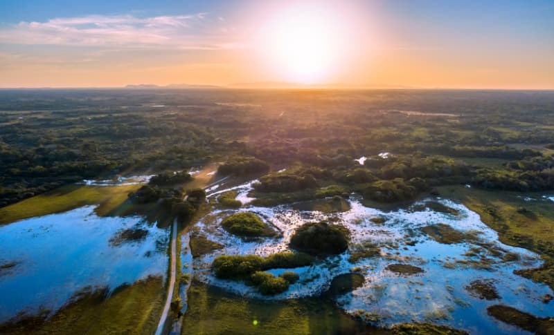Ministério da Agricultura vai investir R$ 2 bilhões na agropecuária pantaneira 2 Agropecuária-pantaneira