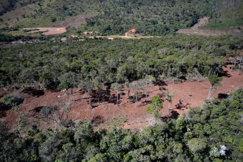Desmatamento na Mata Atlântica reduz 59% no acumulado do ano até agosto 3 Desmatamento na Mata Atlântica