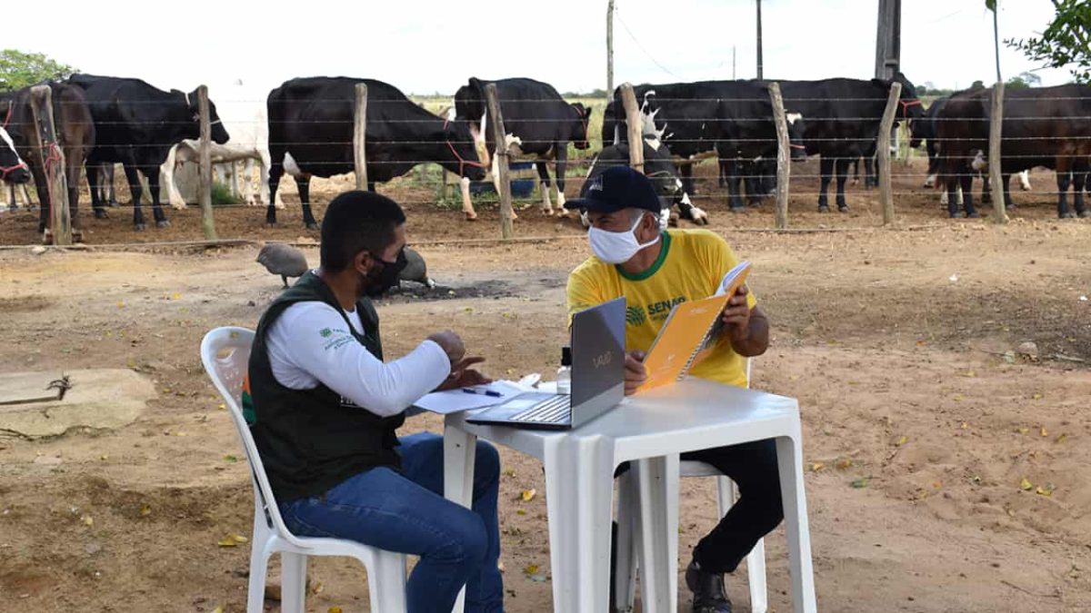 Projeto une assistência técnica e empresarial para impulsionar produção de leite 2 Iniciativa de unir técnicos do Senar e Sebrae vai atender três mil produtores brasileiros.