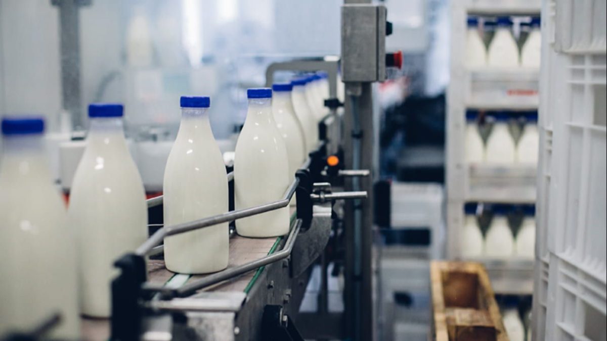 Projeto une assistência técnica e empresarial para impulsionar produção de leite 3 Produção de leite sofre com oscilações de mercado e precisa de investimentos.