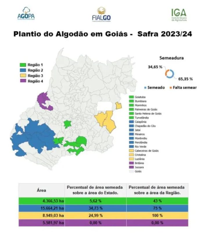 Plantio do algodão
