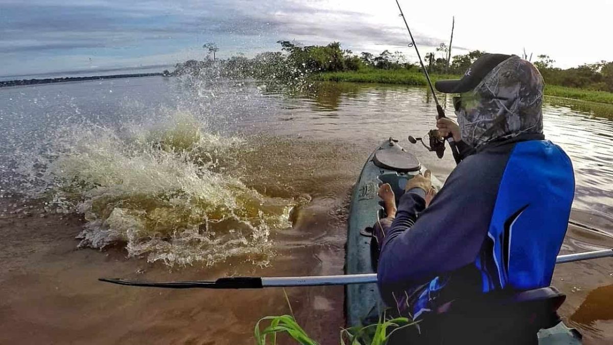 Pescador fisga pirarucu de mais de dois metros e 130 quilos em Jaci-Paraná, Rondônia