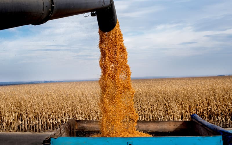 Transporte fluvial de grãos cresce mais de 780% no Brasil em 13 anos