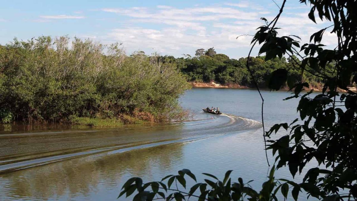 Aves migratórias vão passar por mapeamento no Parque Estadual do Cantão, no Tocantins