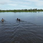 Caseara sedia 7º Festival de Canoagem e Ecologia do Parque Cantão, no Tocantins