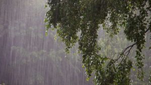 FPA emite nota sobre forte chuva no Rio Grande do Sul