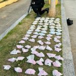 Polícia desarticula ponto de tráfico de drogas em São Pedro da Aldeia