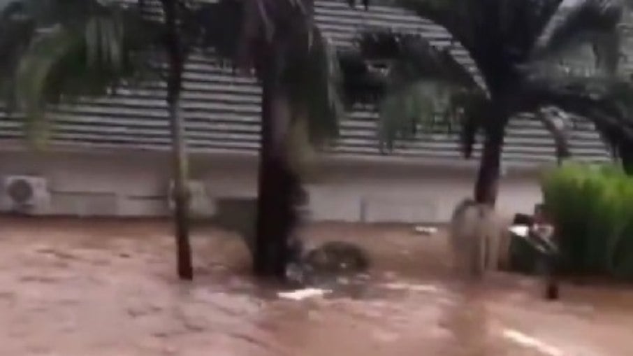 Enchente no Rio Grande do Sul arrastou causou enormes prejuízos