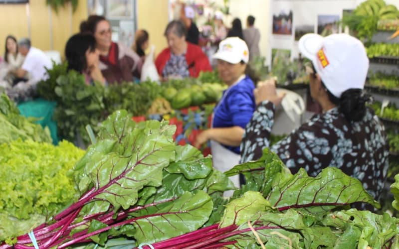 Agrotecnoleite, Agriminas e Exposoja: feiras que movimentam o agro nesta semana