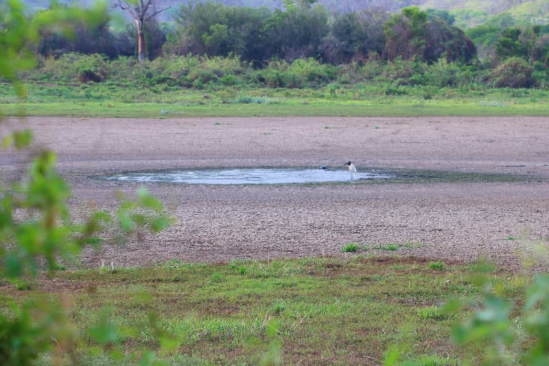 Período de estiagem inicia com chuvas abaixo da média no Pantanal 3 Pantanal