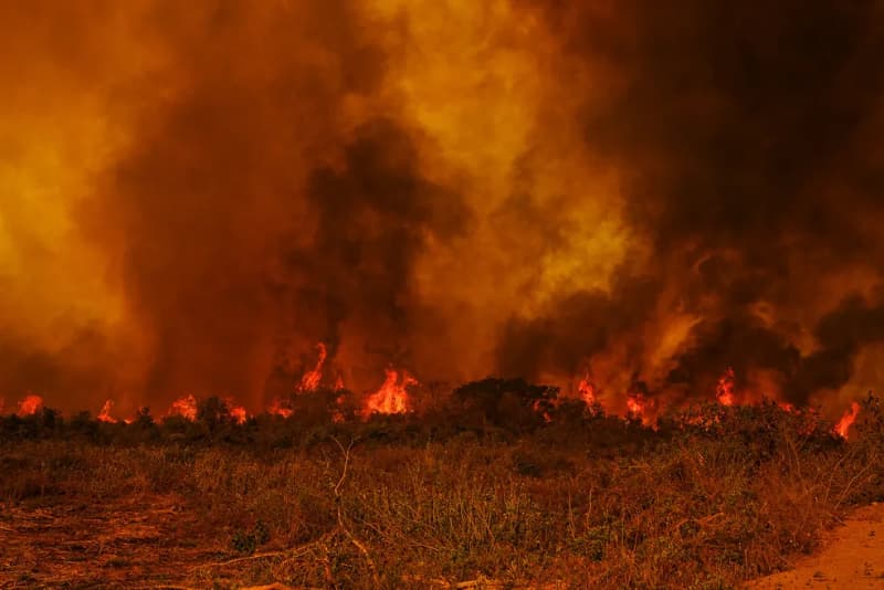 "Estamos em uma das piores situações"; diz Marina sobre incêndio no Pantanal 3 Pantanal