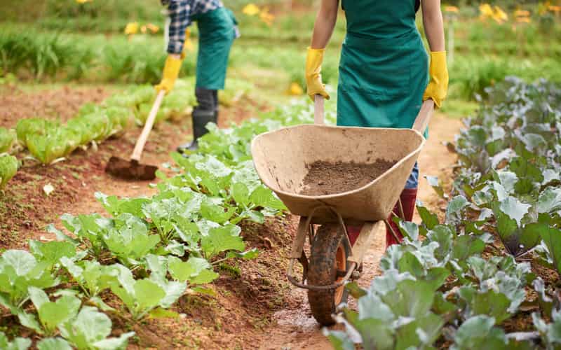 Agricultores familiares terão verba para recuperação após desastres 3 Agricultores familiares terão verba para recuperação após desastres