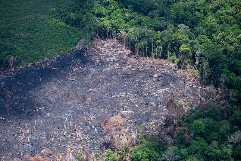 Ações para combater o desmatamento na Amazônia terão investimento de R$ 318 mi 3 Amazônia