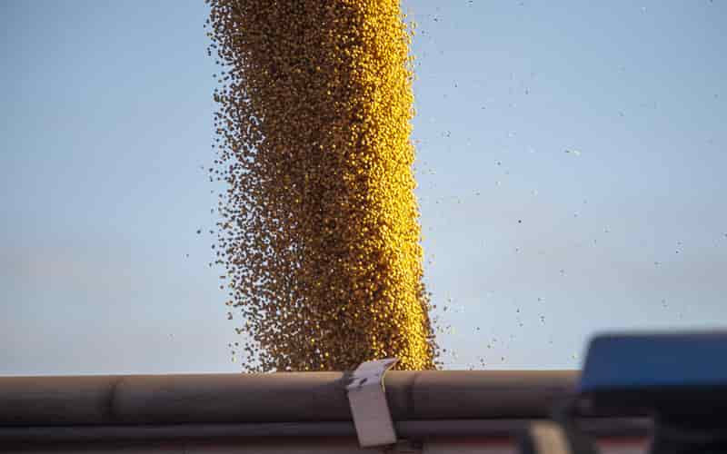 Embarques de soja brasileira crescem 8% em junho, segundo associação