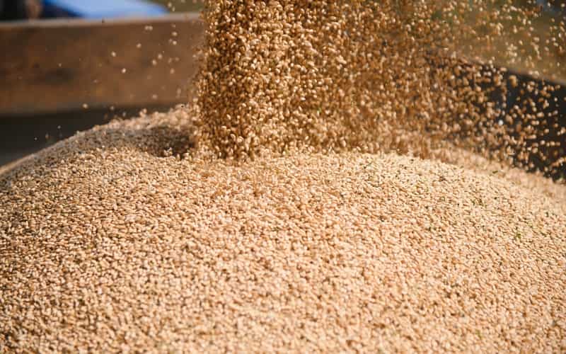 Capacidade de armazenamento agrícola no Brasil atinge 210,9 milhões de toneladas 3 Capacidade de armazenamento agrícola no Brasil atinge 210,9 milhões de toneladas