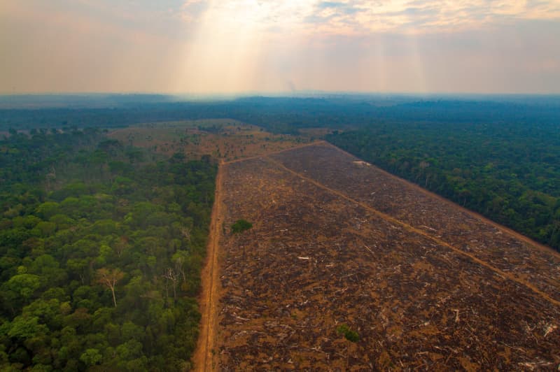 Ações para combater o desmatamento na Amazônia terão investimento de R$ 318 mi 2 Desmatamento