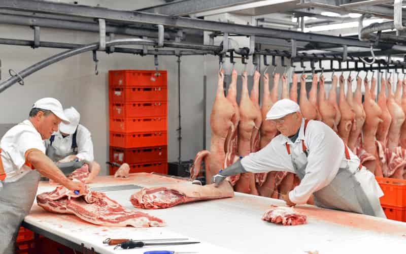Exportações de carne suína crescem em junho e superam metade do volume de 2023 2 Exportações de carne suína crescem em junho e superam metade do volume de 2023
