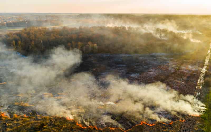 Equipes da Força Nacional reforçam combate ao fogo no Pantanal 