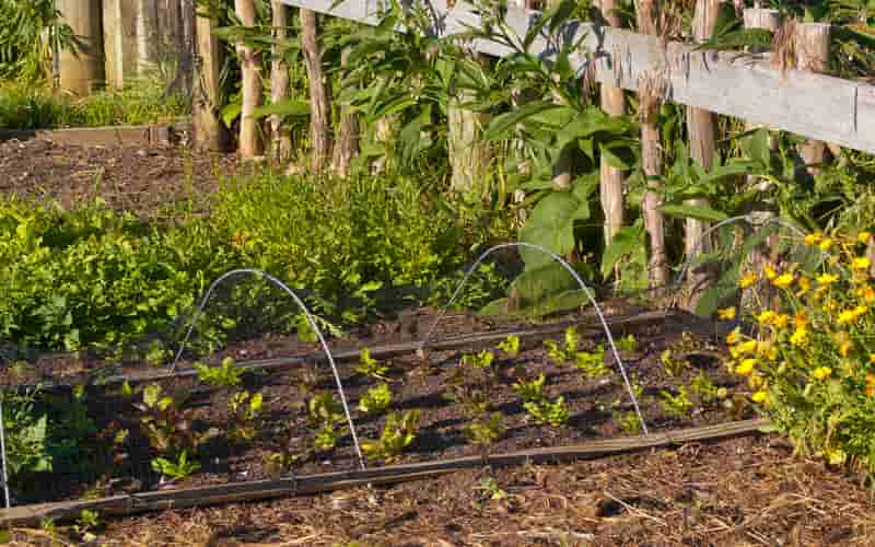 Agricultores familiares terão verba para recuperação após desastres 2 Agricultores familiares terão verba para recuperação após desastres