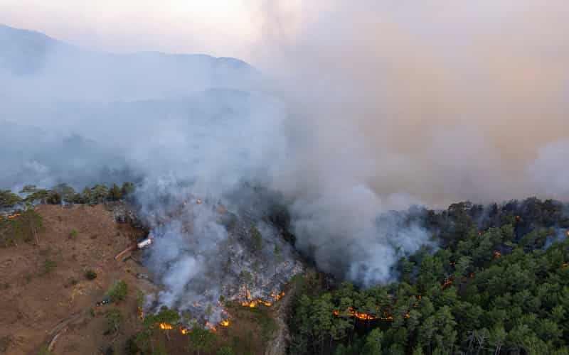Queimadas: mais de 9 mil focos de incêndio foram registrados no Pantanal