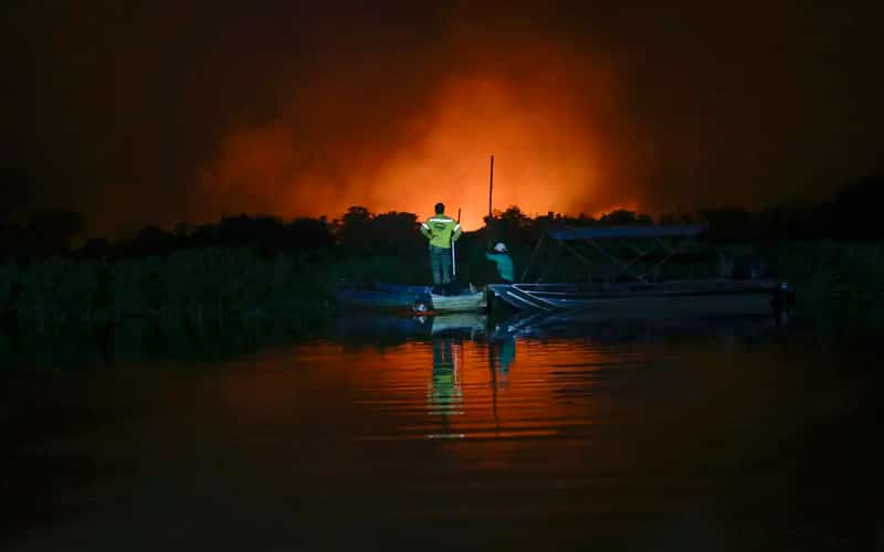 Governo adota medidas preventivas contra seca e incêndios no Pantanal e Amazônia