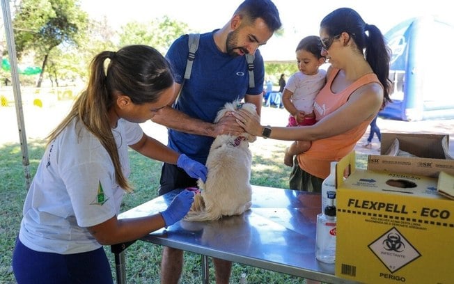 Julho Dourado levanta a importância de vacinar os pets e prevenir zoonoses Julho Dourado levanta a importância de vacinar os pets e prevenir zoonoses