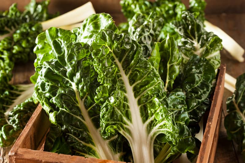 Confira algumas opções de frutas e hortaliças para plantar em casa em julho 2 Acelga