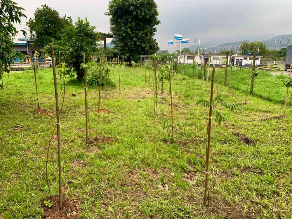 Agro Caipira Show 2024: feira promoverá ações em favor do meio ambiente 3 Agro Caipira Show 2024
