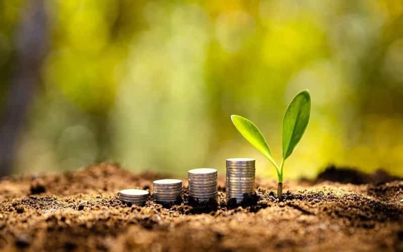 Banco do Brasil anuncia R$ 260 bilhões para o Plano Safra 2024/25 2 Banco do Brasil anuncia R$ 260 bilhões para o Plano Safra 2024/25