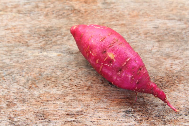 Confira algumas opções de frutas e hortaliças para plantar em casa em julho 6 Batata doce