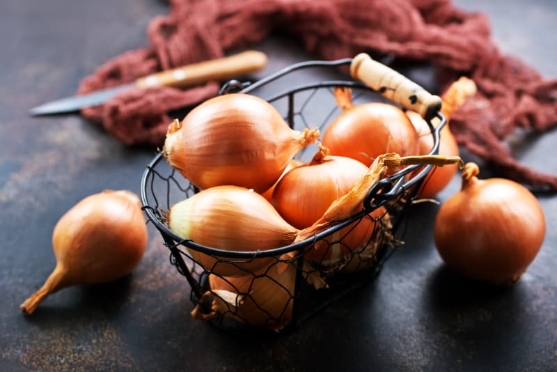 Confira algumas opções de frutas e hortaliças para plantar em casa em julho 7 Cebola