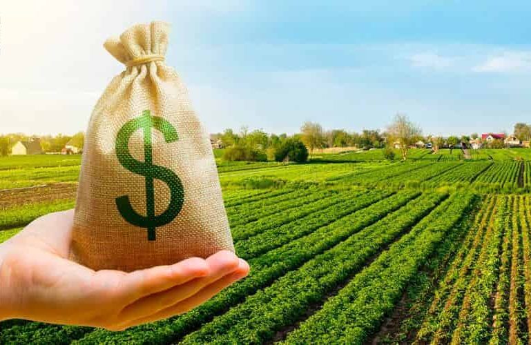 Governo Federal lança Plano Safra 2024/25 nesta quarta-feira (3) 2 Governo Federal lança Plano Safra 2024/25 nesta quarta-feira (3)