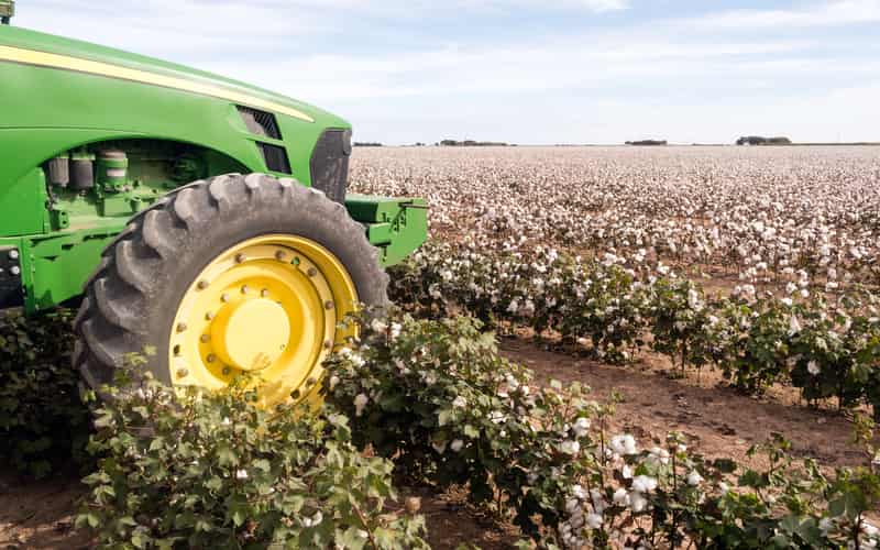 Brasil supera EUA e assume liderança como maior exportador mundial de algodão