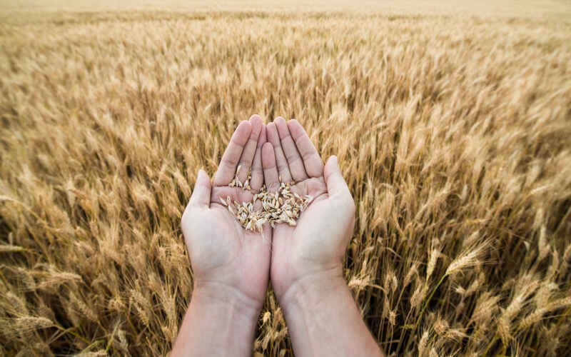 Exportações do agronegócio alcançam US$ 15,20 bilhões em junho de 2024 2 Exportações do agronegócio alcançam US$ 15,20 bilhões em Junho de 2024