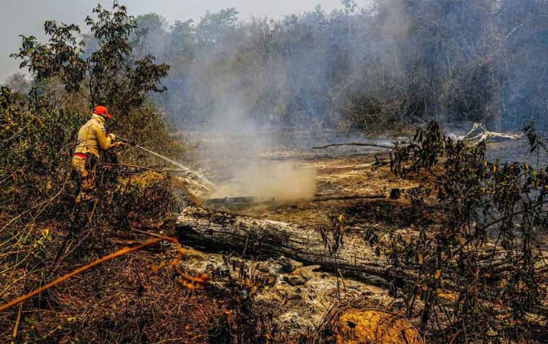 FAB já lançou 336 mil litros de água para conter incêndios no Pantanal 2 Incêndio