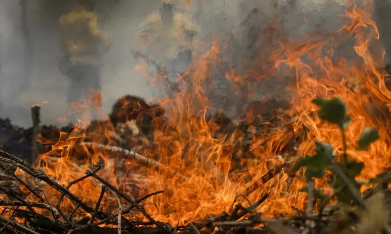 FAB já lançou 336 mil litros de água para conter incêndios no Pantanal 3 Incêndio