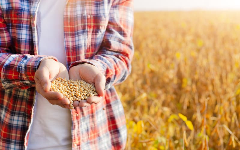 Ministério da Agricultura e Pecuária atualiza preços mínimos para safra 2024/25 2 Ministério da Agricultura e Pecuária atualiza preços mínimos para safra 2024/25