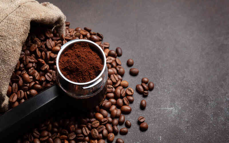 Exportações do agronegócio alcançam US$ 15,20 bilhões em junho de 2024 3 Exportações do agronegócio alcançam US$ 15,20 bilhões em Junho de 2024