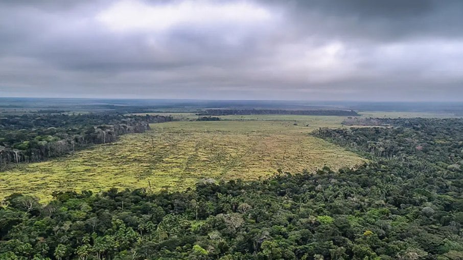 Desmatamento dentro da área da Amazônia Legal foi reduzido Desmatamento dentro da área da Amazônia Legal foi reduzido