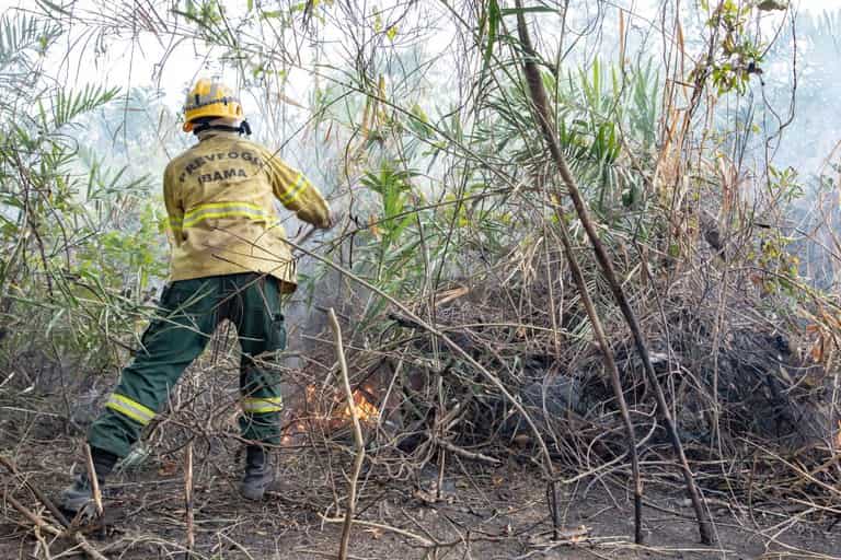 Lula sanciona lei da Política Nacional de Manejo Integrado do Fogo 4 ibama incendio