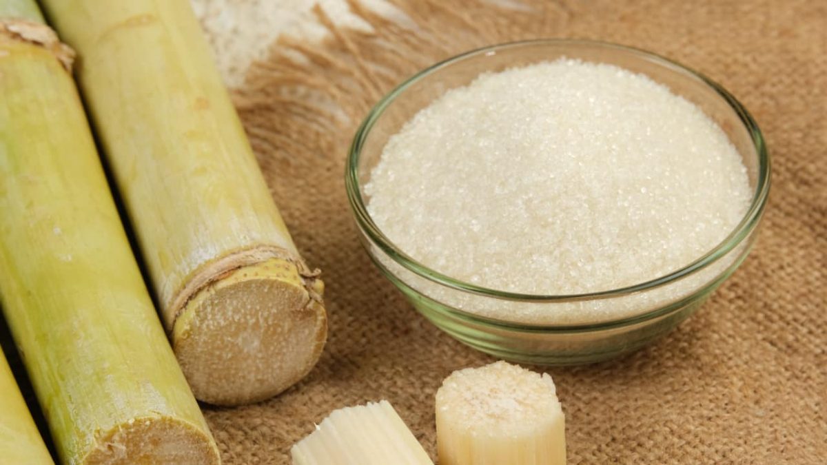 Exportações do agronegócio brasileiro alcançam mais de US$ 14 bilhões em agosto 3 Complexo sucroalcooleiro é o terceiro maior produto embarcado, com 13% do total.